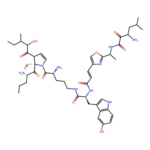 Discobahamin A structure