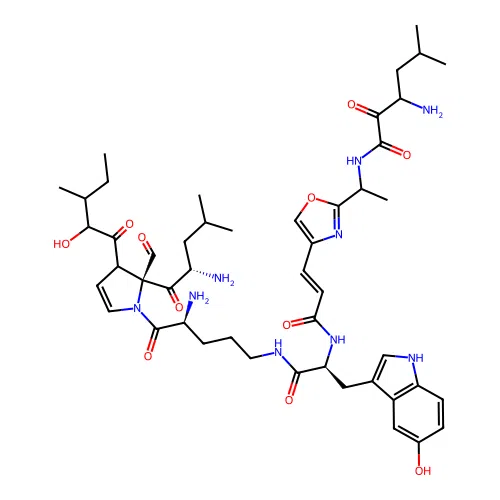 Discobahamin B structure