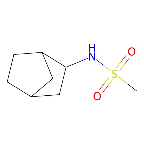 Bicyclo[2.2.1]heptan-2-ylmethanesulfonamide structure