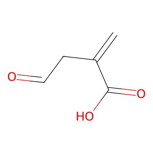 2-Methylene-4-oxobutanoic acid structure
