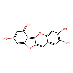 Riccionidin A structure