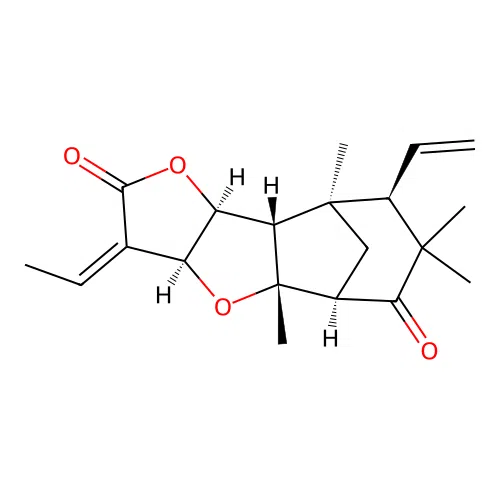 Pallavicinin structure