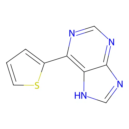6-(2-thienyl)-9H-purine structure