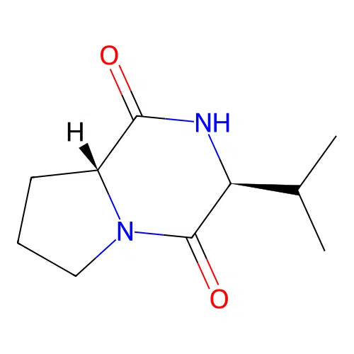Cyclo(D-Pro-L-Val) structure