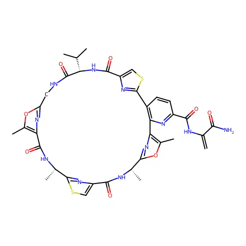 Promothiocin A structure
