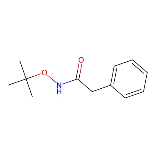 N-[(2-methylpropan-2-yl)oxy]-2-phenylacetamide structure