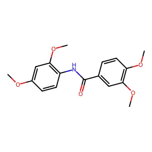 N-(2,4-Dimethoxyphenyl)-3,4-dimethoxybenzamide structure