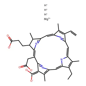 chlorophyllin structure