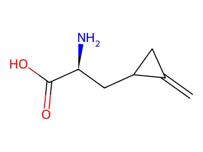 2-Amino-3-(2-methylenecyclopropyl)propanoic acid structure