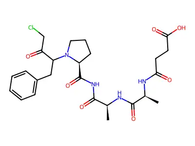 Succinyl-alanylalanyl-prolyl-phenylalanine chloromethylketone structure