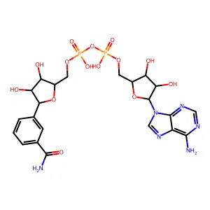 Benzamide adenine nucleotide structure