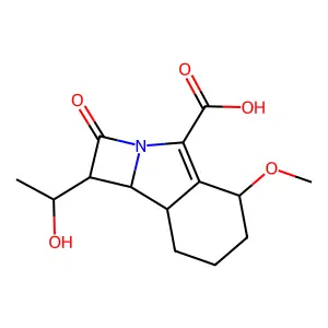 Sanfetrinem structure