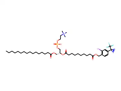 I-Tid-PC-16 structure