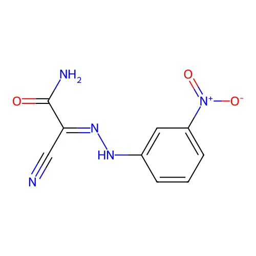 (2E)-2-cyano-2-[2-(3-nitrophenyl)hydrazinylidene]ethanamide structure