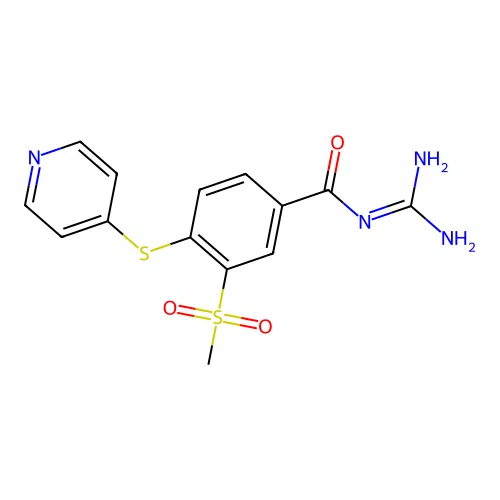 N-(Aminoiminomethyl)-3-(methylsulfonyl)-4-(4-pyridinylthio)benzamide structure