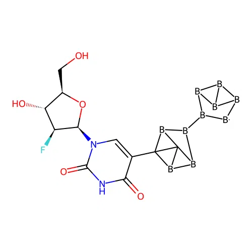 5-o-Carboranyl-1-(2-deoxy-2-fluoro-arabinofuranosyl)uracil structure