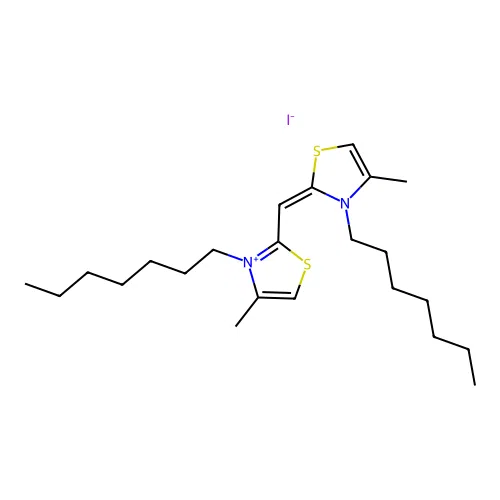 Pionin structure