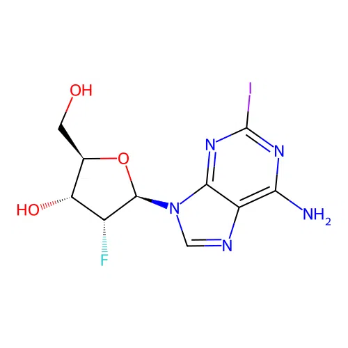 2I-2'F-A structure