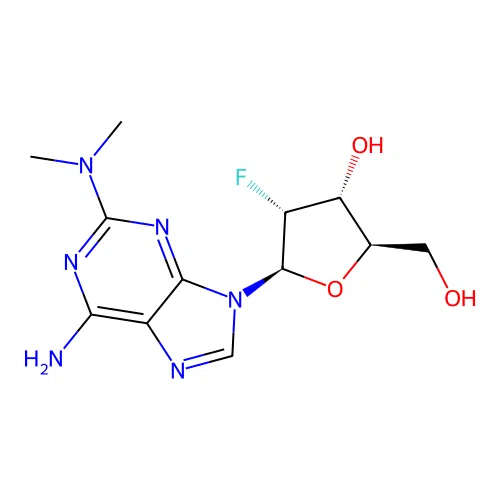 2F'-2-NMe2-A structure
