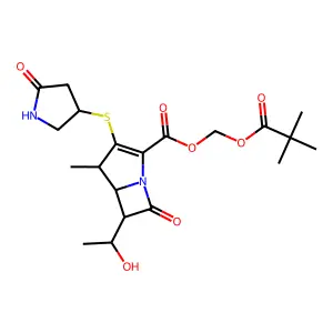 Tacapenem pivoxil structure