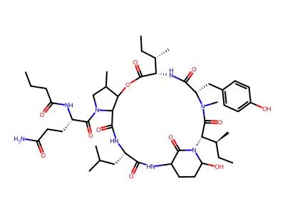 nostopeptin A structure