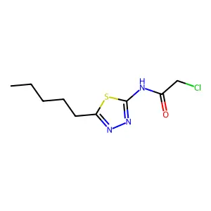 2-Chloro-N-(5-pentyl-1,3,4-thiadiazol-2-yl)acetamide structure