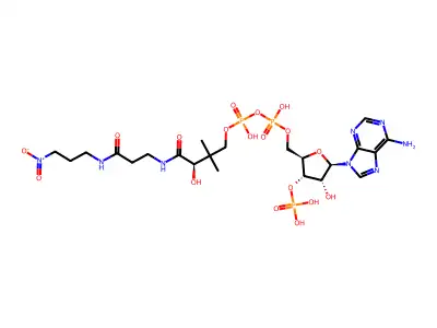 Nitromethyldethia coenzyme A structure