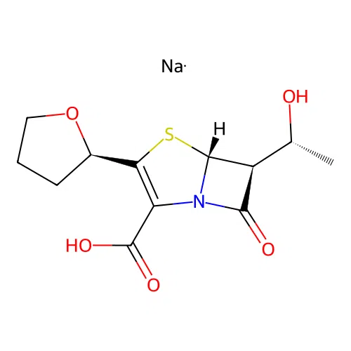 Faropenem sodium structure