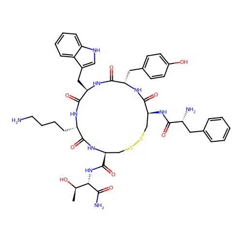 TT 232 structure