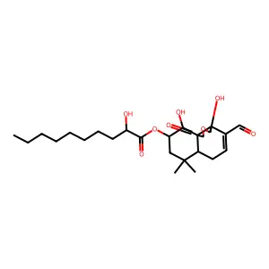 Mniopetal B structure