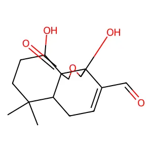 Mniopetal F structure