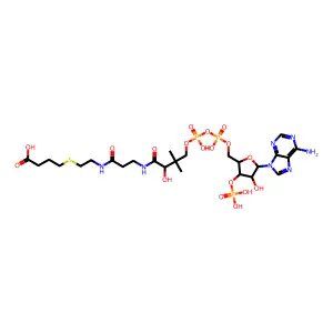 3-carboxypropyl-coenzyme A structure