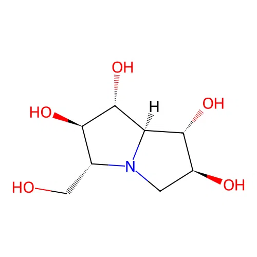 Casuarine structure