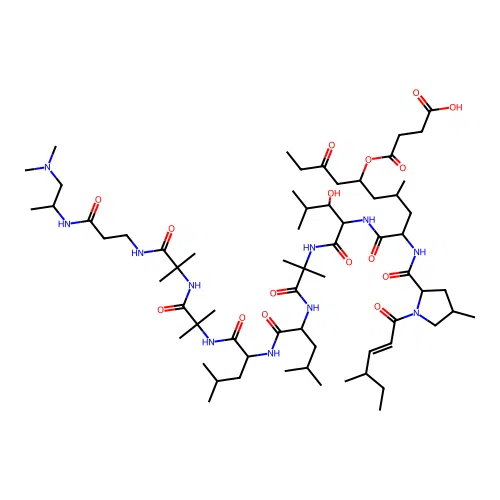Leucinostatin A succinate structure