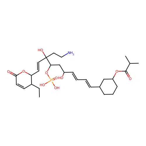 Phoslactomycin A structure