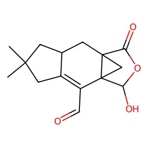 Hyphodontal structure