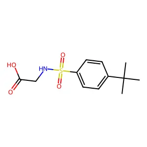 2-[(4-tert-butylphenyl)sulfonylamino]acetic Acid structure