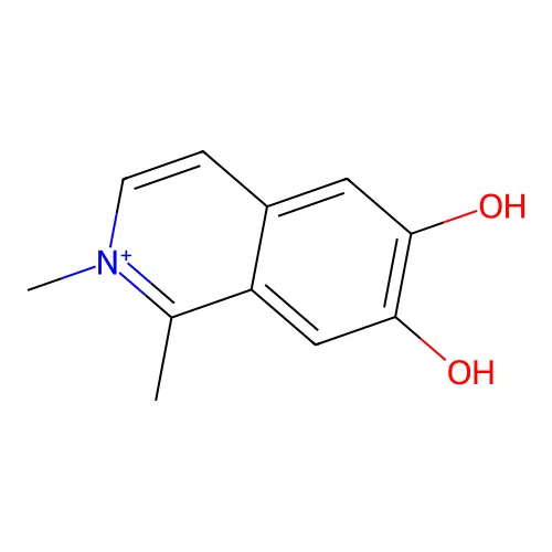 1,2-Dimethylisoquinolin-2-ium-6,7-diol structure