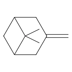 Bicyclo(3.1.1)heptane, 6,6-dimethyl-3-methylene- structure