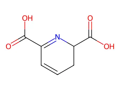 2,3-Dihydro-2,6-pyridinedicarboxylic acid structure