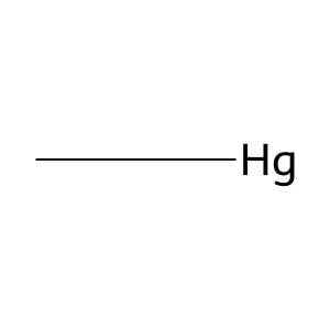 Methyl mercury structure