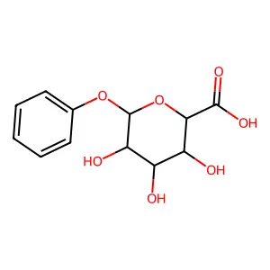 Phenylglucuronide structure