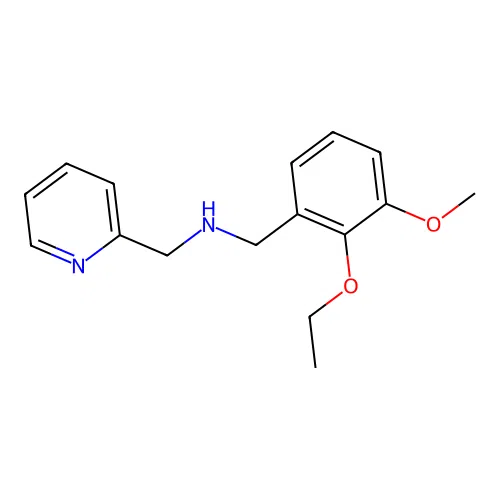 N-(2-ethoxy-3-methoxybenzyl)-1-(pyridin-2-yl)methanamine structure