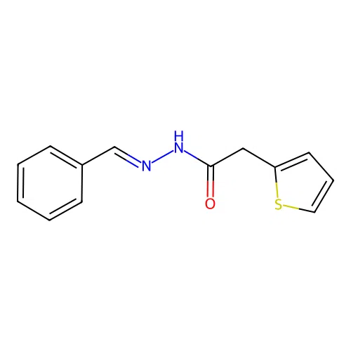 N-[(E)-benzylideneamino]-2-thiophen-2-ylacetamide structure