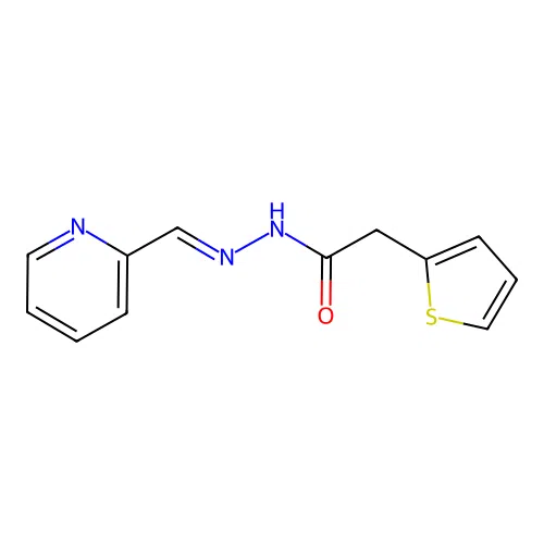 N-[(E)-pyridin-2-ylmethylideneamino]-2-thiophen-2-ylacetamide structure