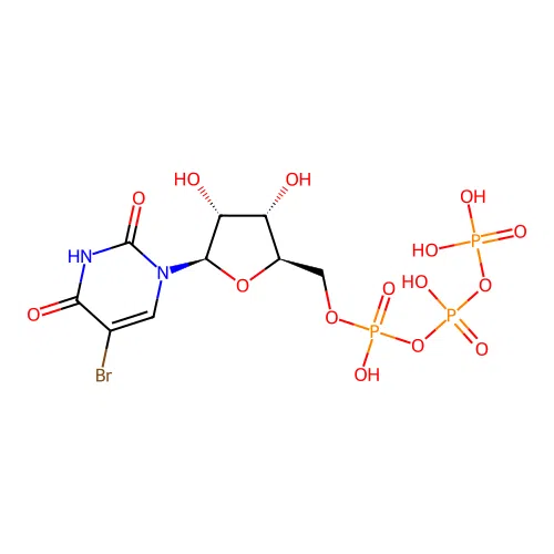 5-Bromo-utp structure