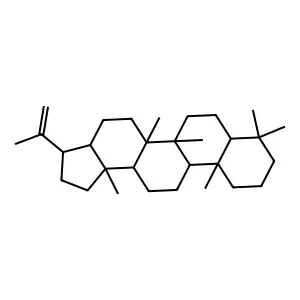 Diploptene structure