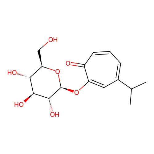 Hinokitiol glucoside structure
