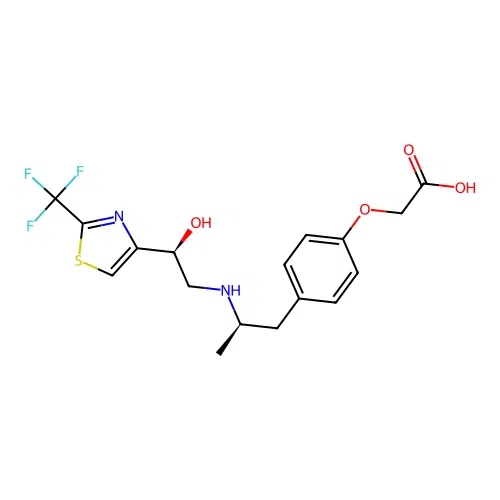 UL-TG 307 structure