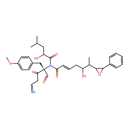 Cryptophycin 24 structure